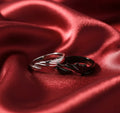 Night_Fury_Light_Fury_Rings